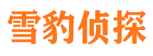 井冈山市场调查